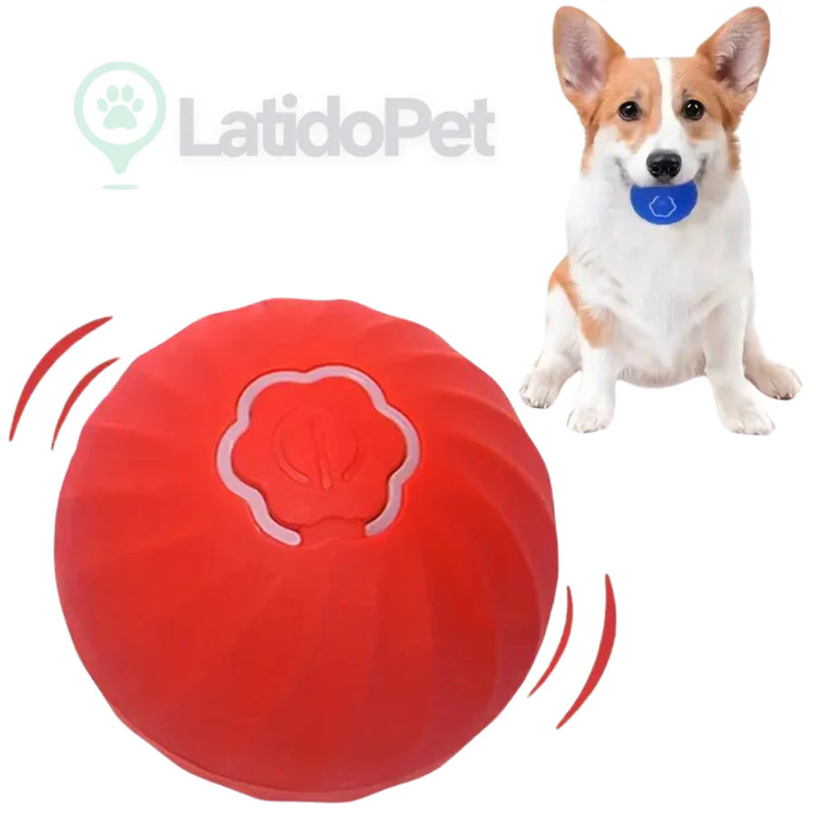 Bola Saltitante - LatidoPet